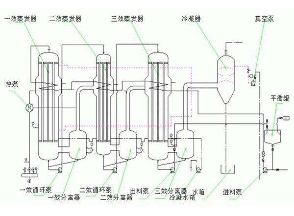 三效強制循環(huán)蒸發(fā)器